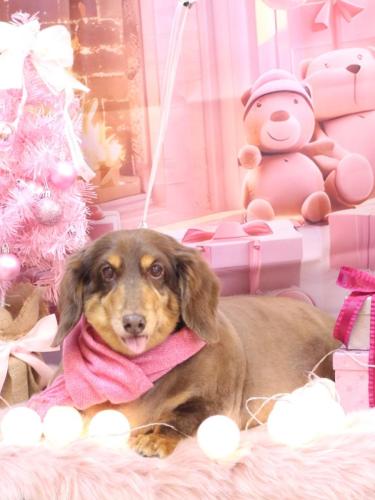 20241210ラッキーくん